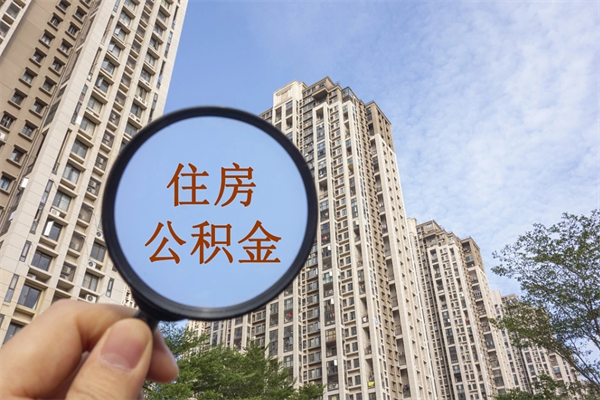 莘县怎么取住房住房公积金（取住房公积金方法）